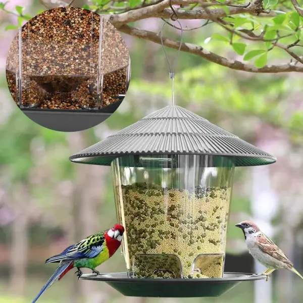 Bird Feeder For Outdoors Hanging Heavy Duty Weather Resistance Wild Bird Feeder Ideas For Bird Lovers Food Container With Rope - Image 4