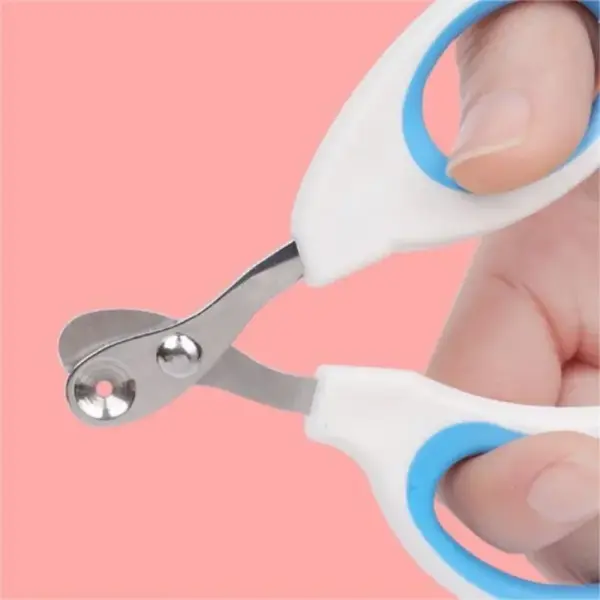 1PC Katze Nagelknipser Mit Runden Löchern Haustier Hund Und Katze Nagelknipser Anti-bleeding Katze Nagelknipser Anti-unfall Verletzungen - Image 6
