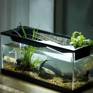Transparente Acryl-Aquarien mit Filter, kleines Wohnzimmer, Landschaftstank, Aquarien mit Luftpumpe für Tischplatte