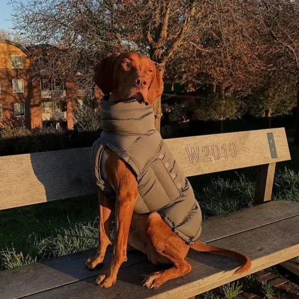 Pet Dog Winter Warm Coat Clothes Down Jacket Waterproof Fleece Vest Thicken Coat Clothing for Dogs Puppy Cats Pet costume - Image 14