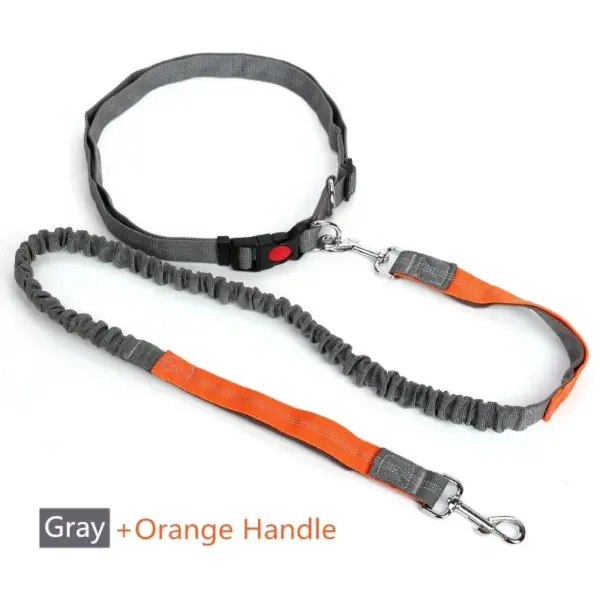 Retractable Dog Leash with Adjustable Waist Rope Hand Free Running Jogging Cycling Big Dogs Pet Elasticity Lead Pet Supplies - Image 7