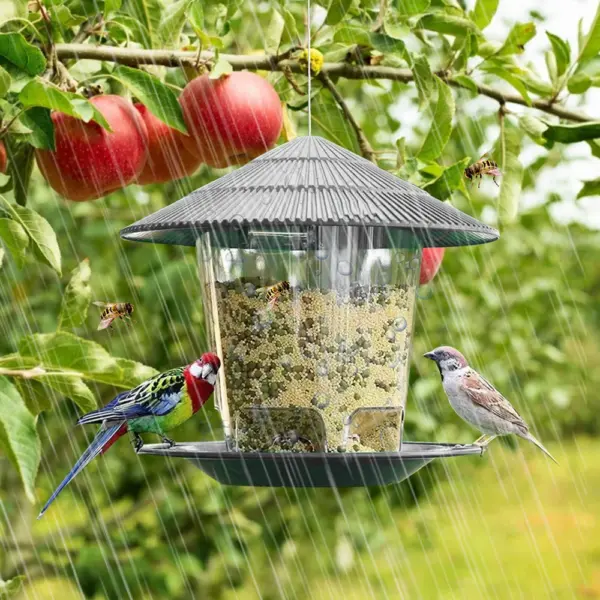 Bird Feeder For Outdoors Hanging Heavy Duty Weather Resistance Wild Bird Feeder Ideas For Bird Lovers Food Container With Rope - Image 2