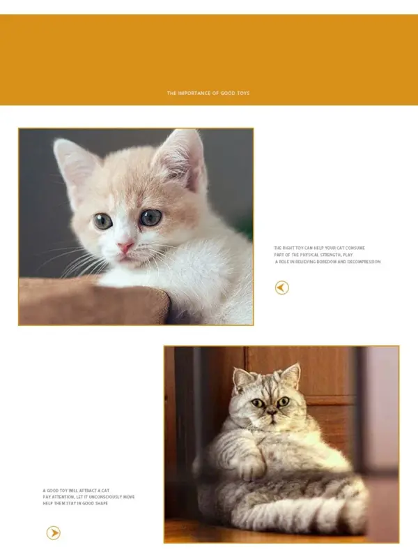 Dr.DC Katzenspielzeug für Haustiere sind selbstunterhaltend, zum Kauen und Necken von Katzen, Spielzeugbälle aus farbiger Wolle, Hundezubehör, Zappelspielzeug für Katzen, Zubehör - Image 18