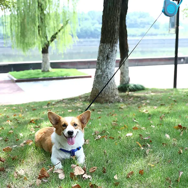 3 Meters 5 Meters Retractable Dog Leash Pet Leash Traction Rope Belt Automatic Flexible Leash For Small Medium Large Dog Product - Image 16