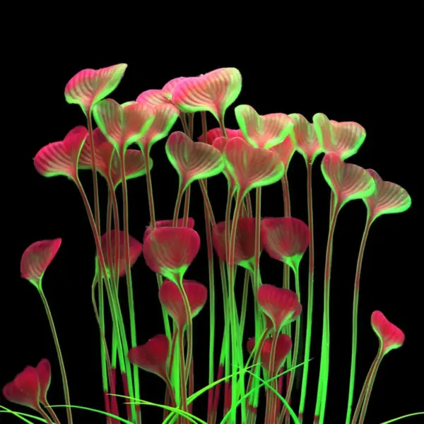 Lifelike Artificial Aquarium Plant Decorations - Vibrant Colors Ideal for All Fish Tanks Enhances Natural Aquatic Ambiance - Image 8