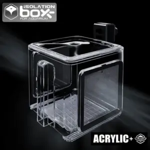 Aquarium Fish Tank Acrylic Isolation Box Stainless Steel Mesh Pneumatic Spawning Incubation Box Ornamental Breeding Room Small