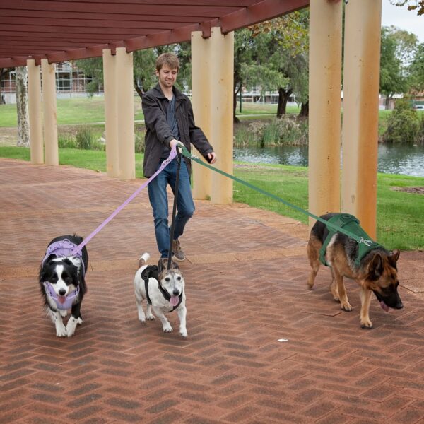 Soft Padding Comfortable Dog Harness - No-Pull with Dual Leash Clips - Perfect for Walking and Training Your Pet - Image 12