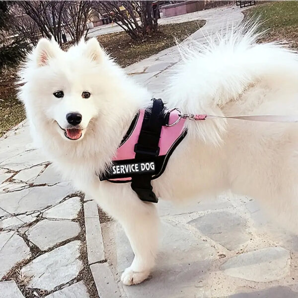 1pc Service Dog Vest Harness with Handle, Adjustable Polyester Pet Carrier for Outdoor Use, Graphic Pattern, No Battery Required, Outdoor Pet Gear | Reflective Dog Vest | Sturdy Handle Feature - Image 38