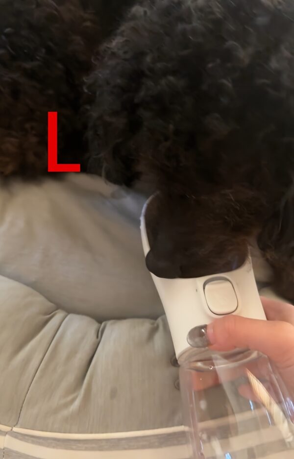 Leak-Proof Portable Dog Water Dispenser for Walking and Travel - Keep Your Pet Hydrated On-The-Go - Image 28