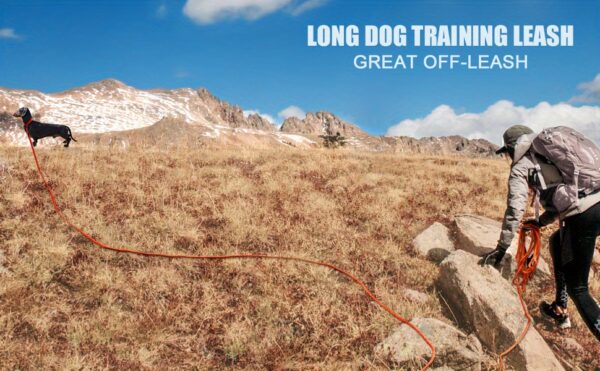 JOYTALE Long Dog Training Leash, Nylon Reflective Lead Long Rope Pet Leash, Double Leash For Small/Medium/Large Dogs - Image 9