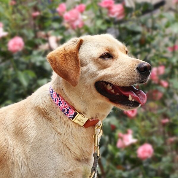 Customizable Floral Print Dog Collar, Durable Nylon Webbing with Padding, Personalized Golden Buckle, Accent for Small to Large Breeds - Image 14