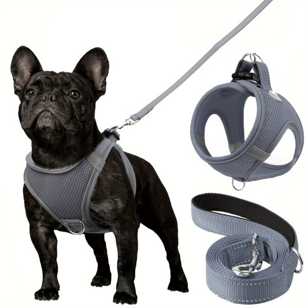 Joytale Reflective Dog Harness and Leash Set - Comfortable, Breathable Mesh Vest with Padded Nylon Lead for Small to Medium Breeds - No-Choke Design with Dual D-Ring & Poop Bag Dispenser, JOYTALE - Image 9