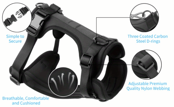 Soft Padding Comfortable Dog Harness - No-Pull with Dual Leash Clips - Perfect for Walking and Training Your Pet - Image 55