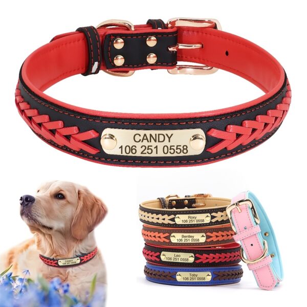 Personalized Engraved Braided Dog ID Tag Collar - Adjustable, Customizable with Name & Contact Info for Small to Large Breeds (Pitbull, French Bulldog) - Red & Black Design, Dog Collar | Stylish Dog Collar | Dog Collar