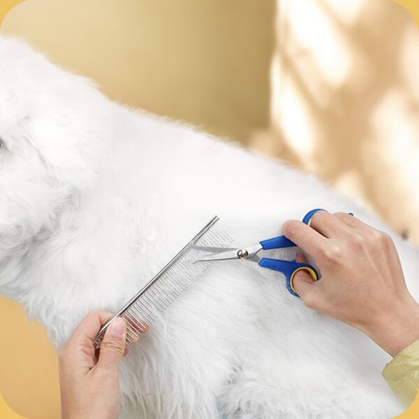Baisher 8pcs Pet Grooming Kit For Dogs & Cats - Includes Detangling Comb, Nail Clippers, File, Deshedding Brush, And More - Silicone Bristles, Non-Electric Dog Grooming Supplies Dog Grooming Equipment - Image 6