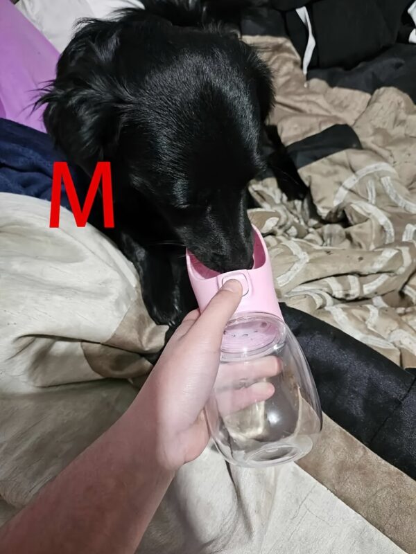 Leak-Proof Portable Dog Water Dispenser for Walking and Travel - Keep Your Pet Hydrated On-The-Go - Image 25