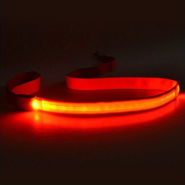 Secure Night Walks: Enhanced Visibility Glow & LED Dog Leash, Durable and Stylish for Your Pet's Safety and Comfort - Image 3
