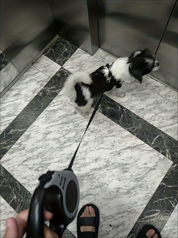 Make Outdoor Walks Easier With This Automatic Retractable Dog Leash - 3/5 Meter Minimalist Design! - Image 39