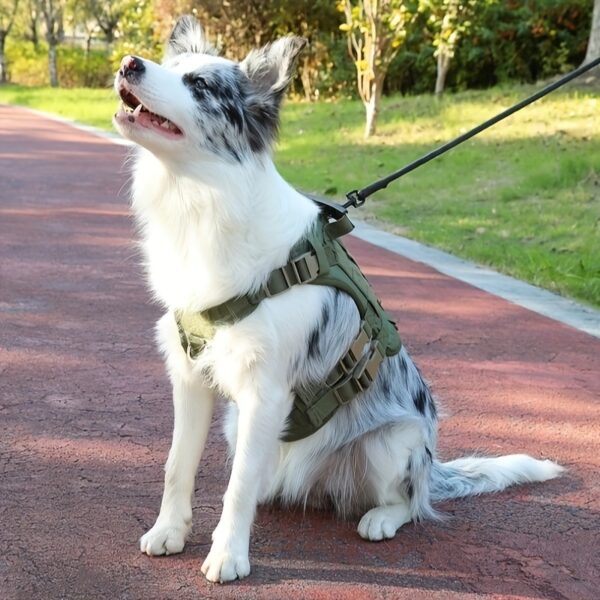 Waterproof Tactical Dog Vest Harness - Secure, Comfortable Fit for Outdoor Adventures, Christmas Gift - Image 9