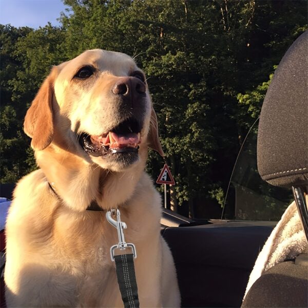 Durable Nylon Dog Seat Belt - Adjustable Car Safety Harness with Leash for Secure Travel - Image 4