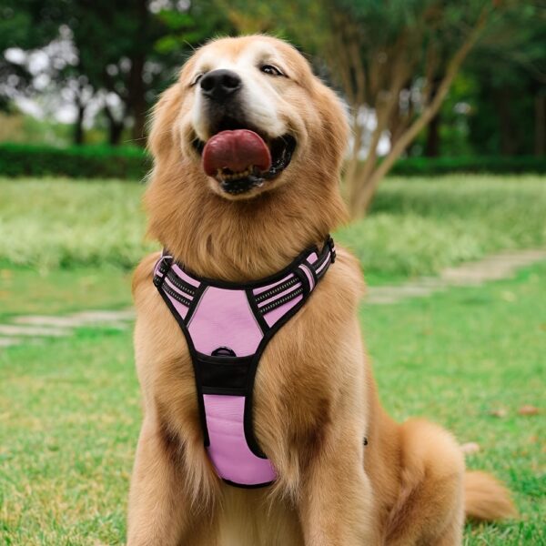 Adjustable No-Pull Dog Harness with Padded Vest and Dual Leash Clips - Prevents Choking and Provides Comfortable Walking Experience - Image 14