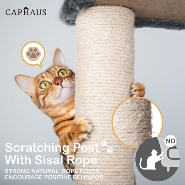 CAPHAUS Tall Cat Tree for Indoor Cats, Modern Cute 70-Inch Climbing Play Tower with Top Perch for Large Kittens, Multi-Level Cat Activity Tree w Scratching Posts, Hammock, Cat Cave Condo - Image 7