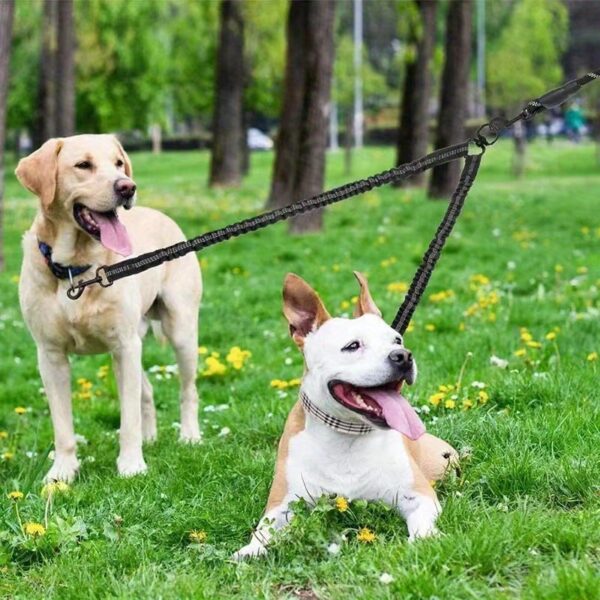 Two Dog 360 Swivel No Tangle Double Shock Absorbing Reflective Bungee Training Leashes, Double Dog Leashes for Walking - Image 20