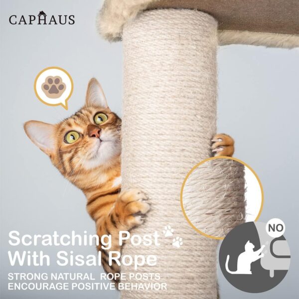 CAPHAUS Tall Cat Tree for Indoor Cats, Modern Cute 70-Inch Climbing Play Tower with Top Perch for Large Kittens, Multi-Level Cat Activity Tree w Scratching Posts, Hammock, Cat Cave Condo - Image 15