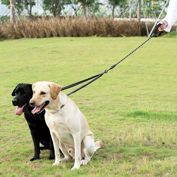 Two Dog 360 Swivel No Tangle Double Shock Absorbing Reflective Bungee Training Leashes, Double Dog Leashes for Walking - Image 16