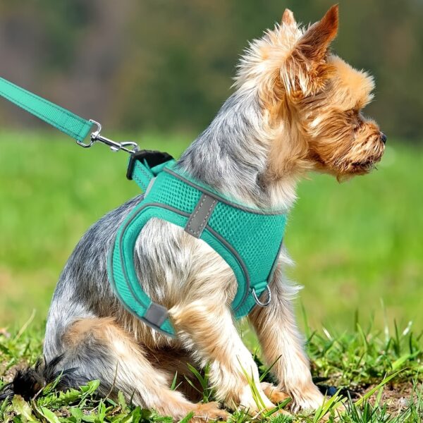 Joytale Reflective Dog Harness and Leash Set - Comfortable, Breathable Mesh Vest with Padded Nylon Lead for Small to Medium Breeds - No-Choke Design with Dual D-Ring & Poop Bag Dispenser, JOYTALE - Image 19