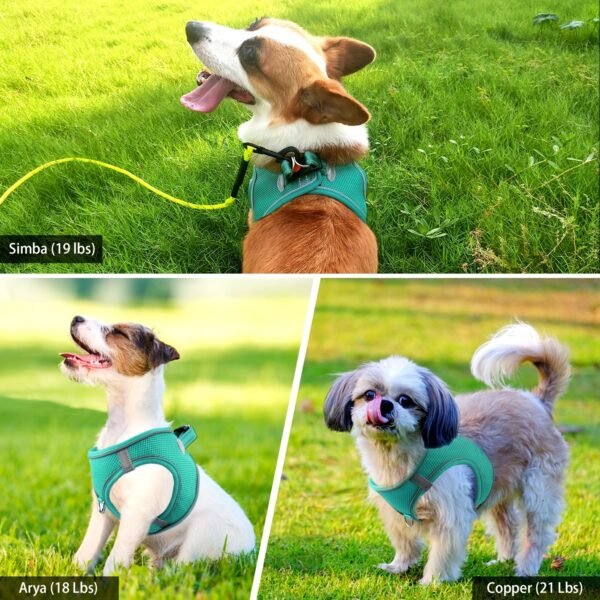Joytale Reflective Dog Harness and Leash Set - Comfortable, Breathable Mesh Vest with Padded Nylon Lead for Small to Medium Breeds - No-Choke Design with Dual D-Ring & Poop Bag Dispenser, JOYTALE - Image 11