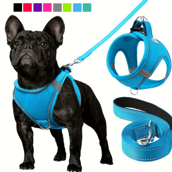 Joytale Reflective Dog Harness and Leash Set - Comfortable, Breathable Mesh Vest with Padded Nylon Lead for Small to Medium Breeds - No-Choke Design with Dual D-Ring & Poop Bag Dispenser, JOYTALE - Image 17