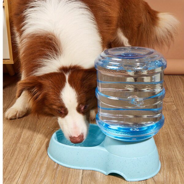 [Large Capacity Pet Feeder Fountain] 1pc Large Capacity Transparent Pet Feeder/Water Fountain, Water/Food Feeder Dispenser For Cats And Dogs Christmas Gift - Image 19