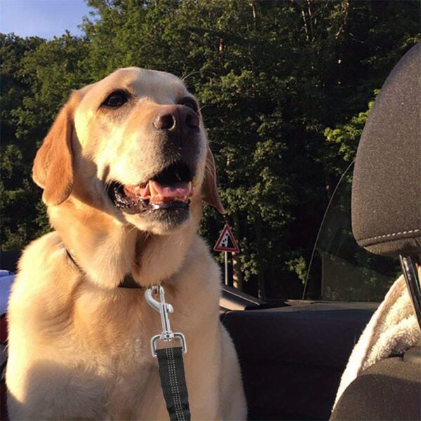 Durable Nylon Dog Seat Belt - Adjustable Car Safety Harness with Leash for Secure Travel - Image 14