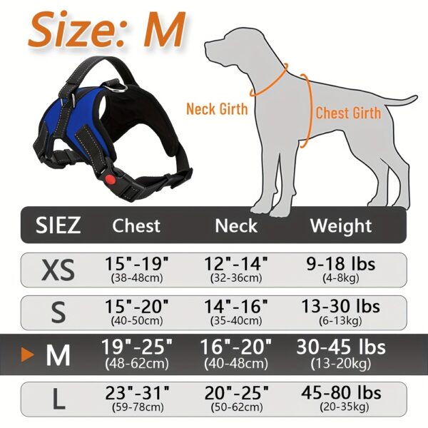 Doglee Ultimate No-Pull Reflective Adjustable Dog Harness with Handle - Premium Comfort, Easy Walking, and Enhanced Visibility - Ideal for Training, Outdoor Adventures, and Everyday Use - Image 28